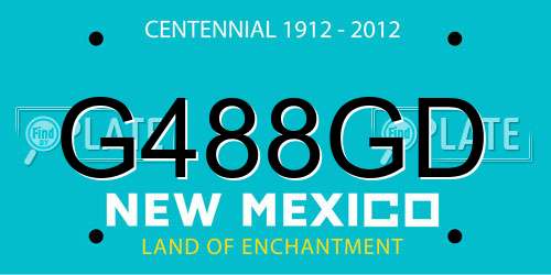 G488GD New Mexico License Plate