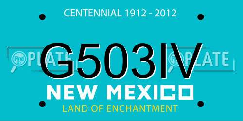 G503IV New Mexico License Plate