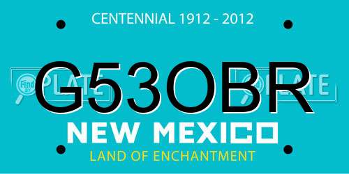 G53OBR New Mexico License Plate