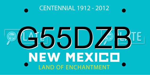 G55DZB New Mexico License Plate