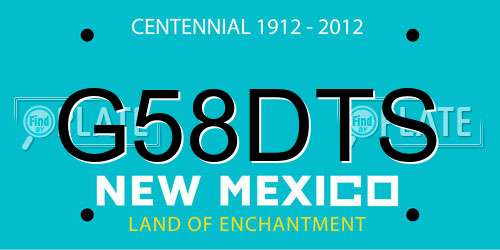 G58DTS New Mexico License Plate