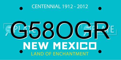 G58OGR New Mexico License Plate