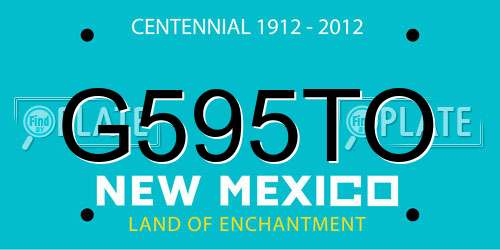 G595TO New Mexico License Plate