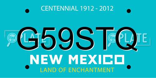 G59STQ New Mexico License Plate