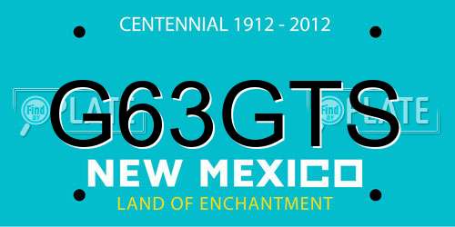 G63GTS New Mexico License Plate