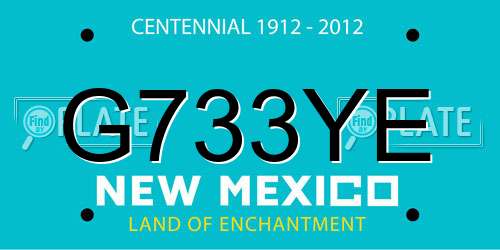 G733YE New Mexico License Plate