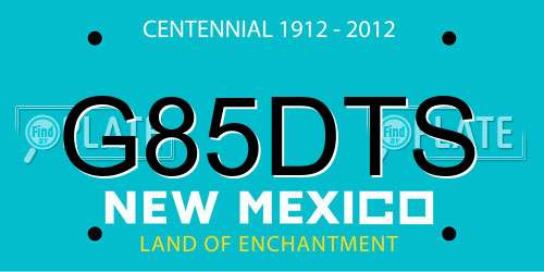 G85DTS New Mexico License Plate