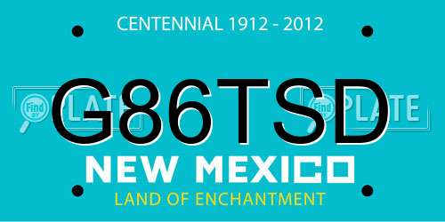 G86TSD New Mexico License Plate