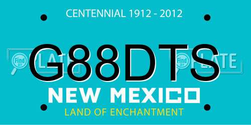 G88DTS New Mexico License Plate
