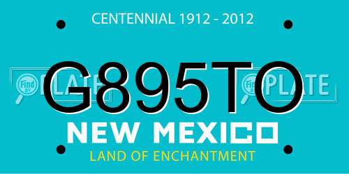 G895TO New Mexico License Plate