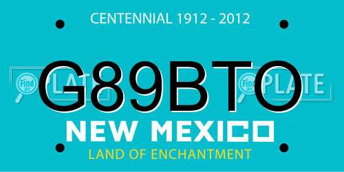 G89BTO New Mexico License Plate