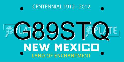 G89STQ New Mexico License Plate