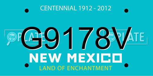 G9178V New Mexico License Plate