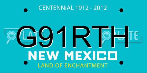G91RTH New Mexico License Plate