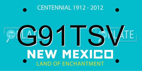 G91TSV New Mexico License Plate