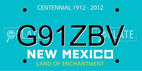 G91ZBV New Mexico License Plate