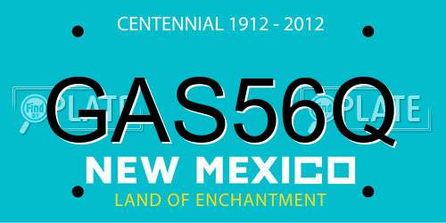 GAS56Q New Mexico License Plate