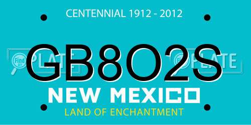 GB8O2S New Mexico License Plate