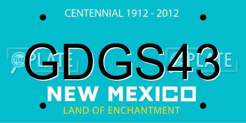 GDGS43 New Mexico License Plate