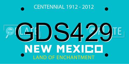 GDS429 New Mexico License Plate