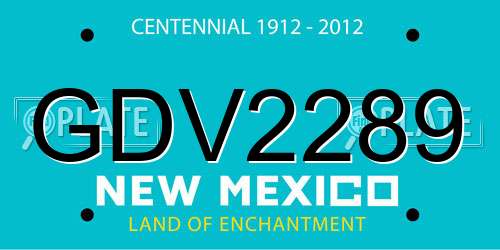 GDV2289 New Mexico License Plate