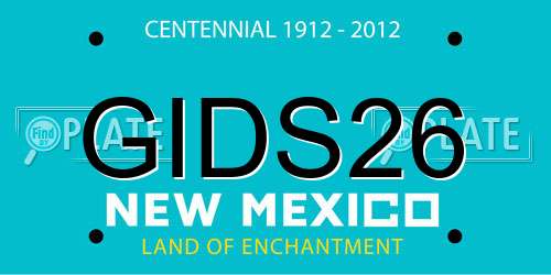 GIDS26 New Mexico License Plate