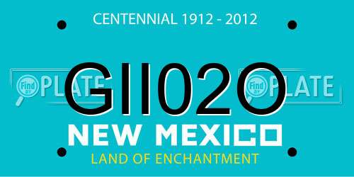 GII02O New Mexico License Plate