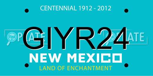 GIYR24 New Mexico License Plate