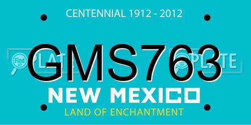 GMS763 New Mexico License Plate