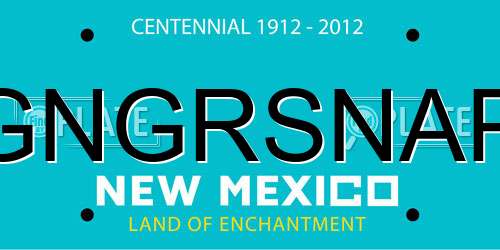 GNGRSNAP New Mexico License Plate