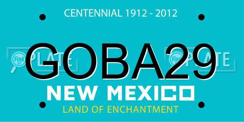 GOBA29 New Mexico License Plate