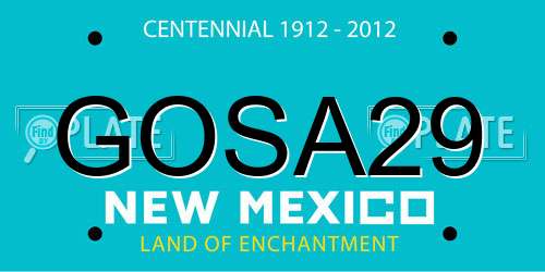 GOSA29 New Mexico License Plate