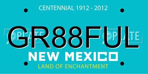GR88FUL New Mexico License Plate