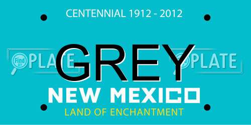 GREY New Mexico License Plate
