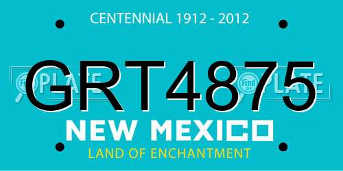 GRT4875 New Mexico License Plate
