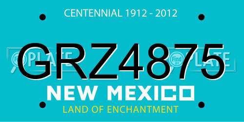 GRZ4875 New Mexico License Plate