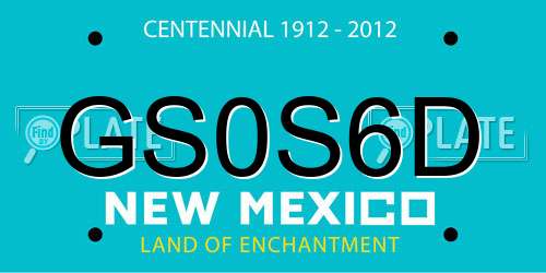 GS0S6D New Mexico License Plate
