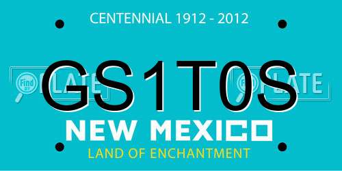 GS1T0S New Mexico License Plate