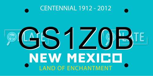 GS1Z0B New Mexico License Plate