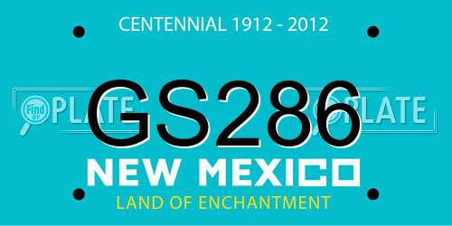 GS286 New Mexico License Plate