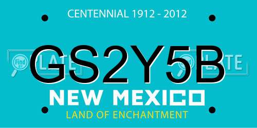GS2Y5B New Mexico License Plate