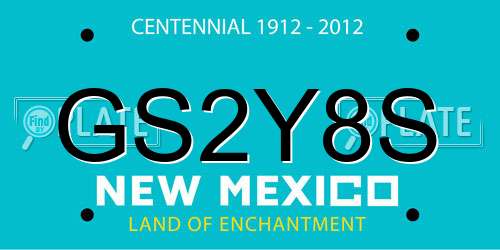 GS2Y8S New Mexico License Plate