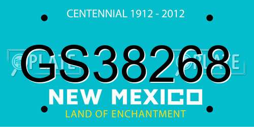 GS38268 New Mexico License Plate