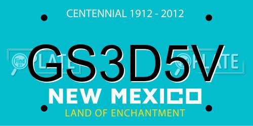GS3D5V New Mexico License Plate