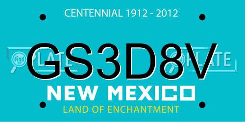 GS3D8V New Mexico License Plate