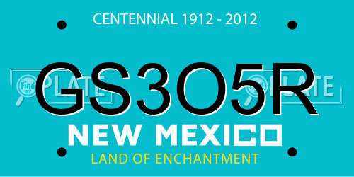 GS3O5R New Mexico License Plate
