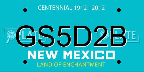 GS5D2B New Mexico License Plate