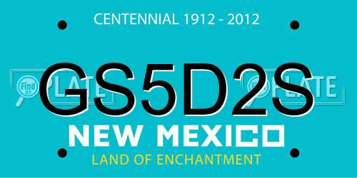GS5D2S New Mexico License Plate