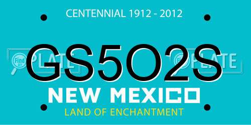 GS5O2S New Mexico License Plate