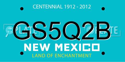 GS5Q2B New Mexico License Plate